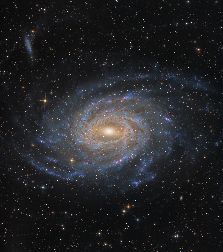 Im Bild schwebt die Spiralgalaxie NGC 6744 mit einem gelben Kern, einem kurzen Balken und lebhaften blau-rosa gesprenkelten Spiralarmen. Sie ist von vielen Sternen umgeben.