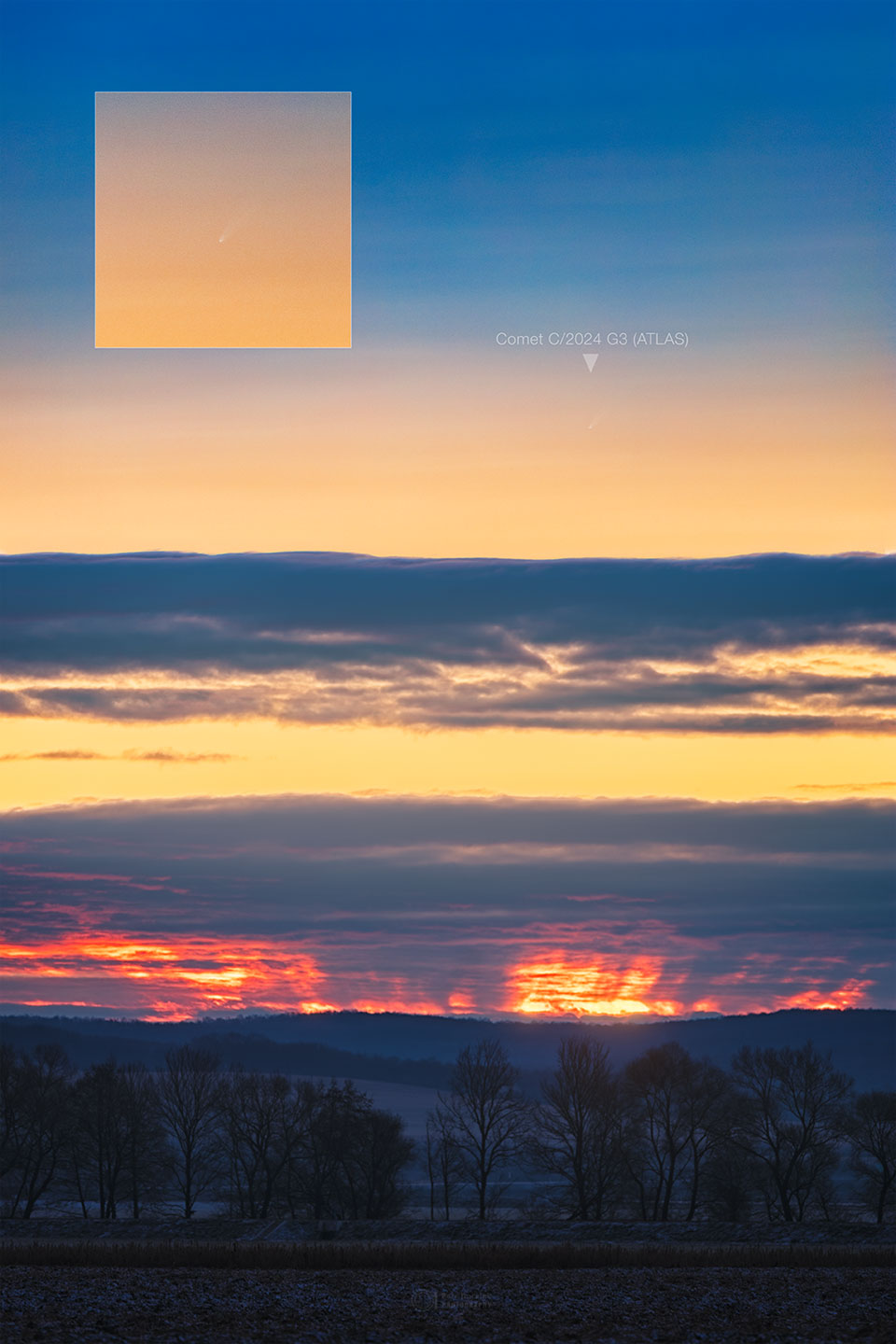 Über einer Baumreihe ist am Morgenhimmel ein Komet zu sehen. Der Komet ist links oben in einem kleineren Bild detaillierter dargestellt.