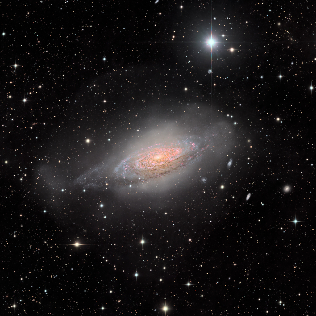Vor einem dunklen Sternenhintergrund mit winzigen Galaxien steht eine große Spiralgalaxie. SIe ist von dunklen Staubbändern, rosa Sternentstehungsgebieten und blauen Sternhaufen gezeichnet. Sie is von gräulichen, blasenähnlichen Hüllen umgeben. Ein Klick auf das Bild lädt die höchstaufgelöste verfügbare Version.
