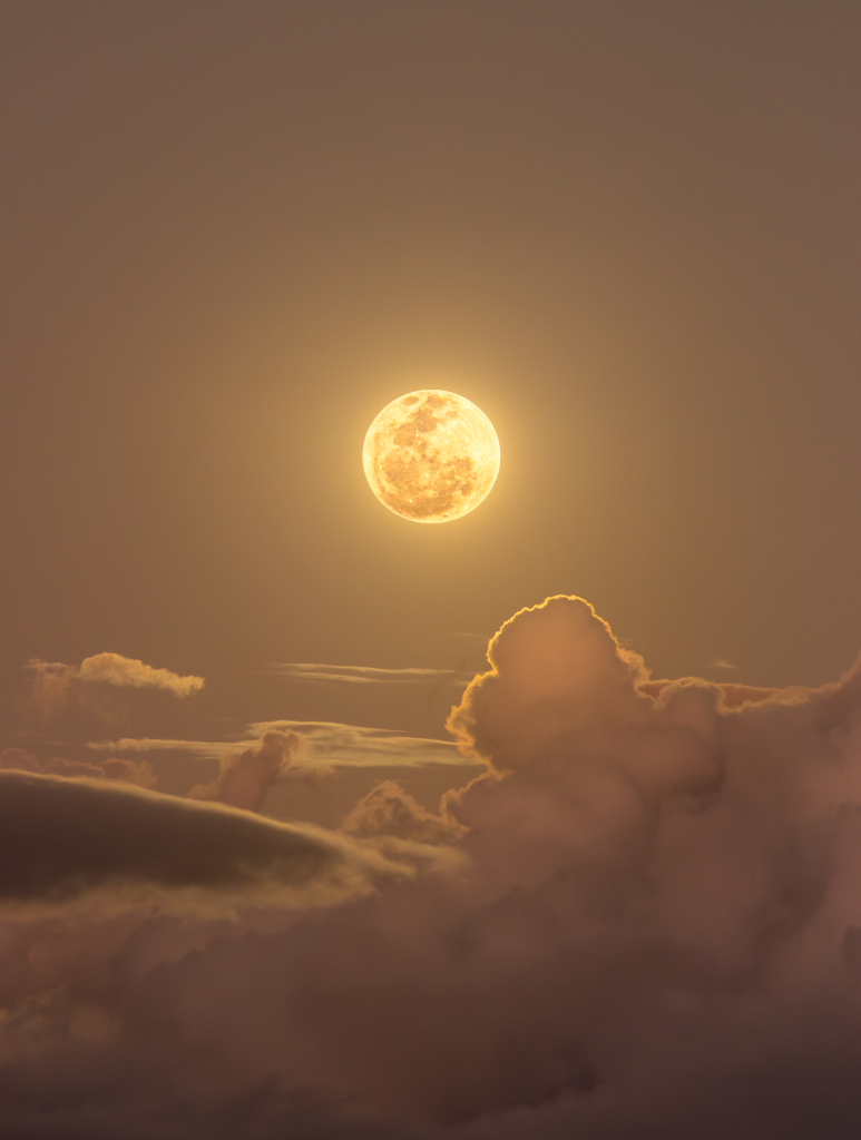 Über Wolken mit einem hellen Rand leuchtet der goldene Vollmond. Er wurde so abgebildet, dass auch die dunklen Meere gut erkennbar sind. Manche erkennen darin ein Gesicht oder einen Hasen, dessen Ohren nach links oben gestreckt sind.