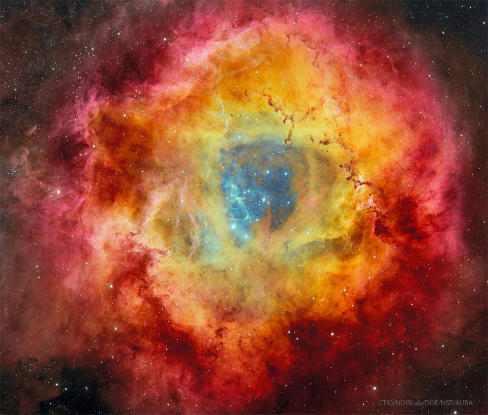 Der Rosettennebel NGC 2237 ist bildfüllend dargestellt. Außen leuchtet er rot, innen sind gelbe Farbtöne. Innen gibt eine Höhlung den Blick auf einen Sternhaufen und blaue Schwaden frei.