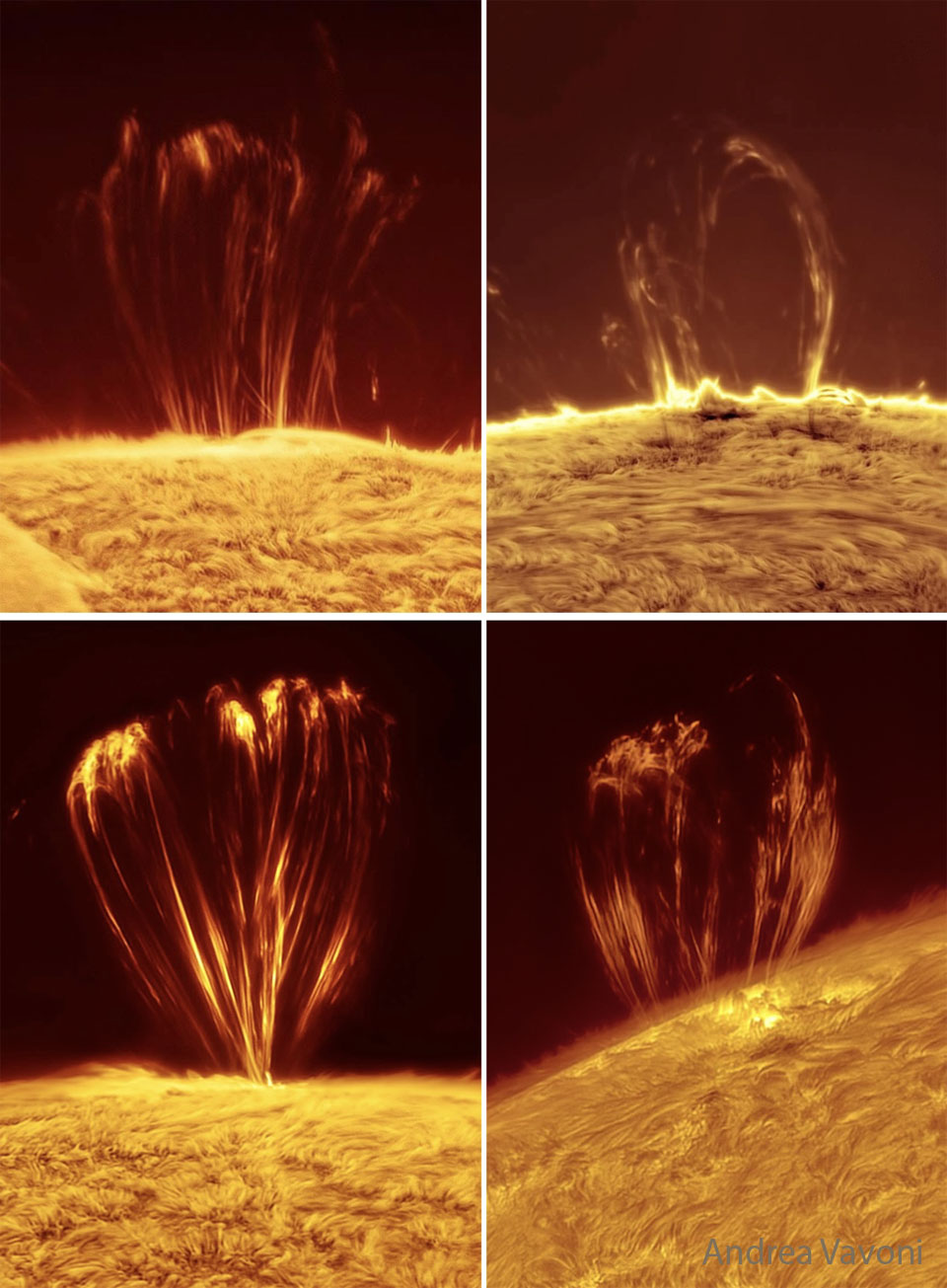 Aus der Oberfläche der Sonne schießen am Sonnenrand schleifenförmige Fäden heraus. Das Bild ist viergeteilt und zeigt vier solche Schleifen. Sie verlaufen entlang von Magnetfeldlinien.