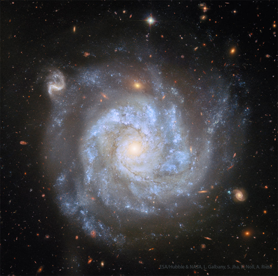 Eine Spiralgalaxie mit bläulich leuchtenden Armen um ein gelbliches Zentrum steht vor einem dunklen Hintergrund mit vielen dunkleren und kleineren Galaxien im Hintergrund. Ein Klick auf das Bild lädt die höchstaufgelöste verfügbare Version.