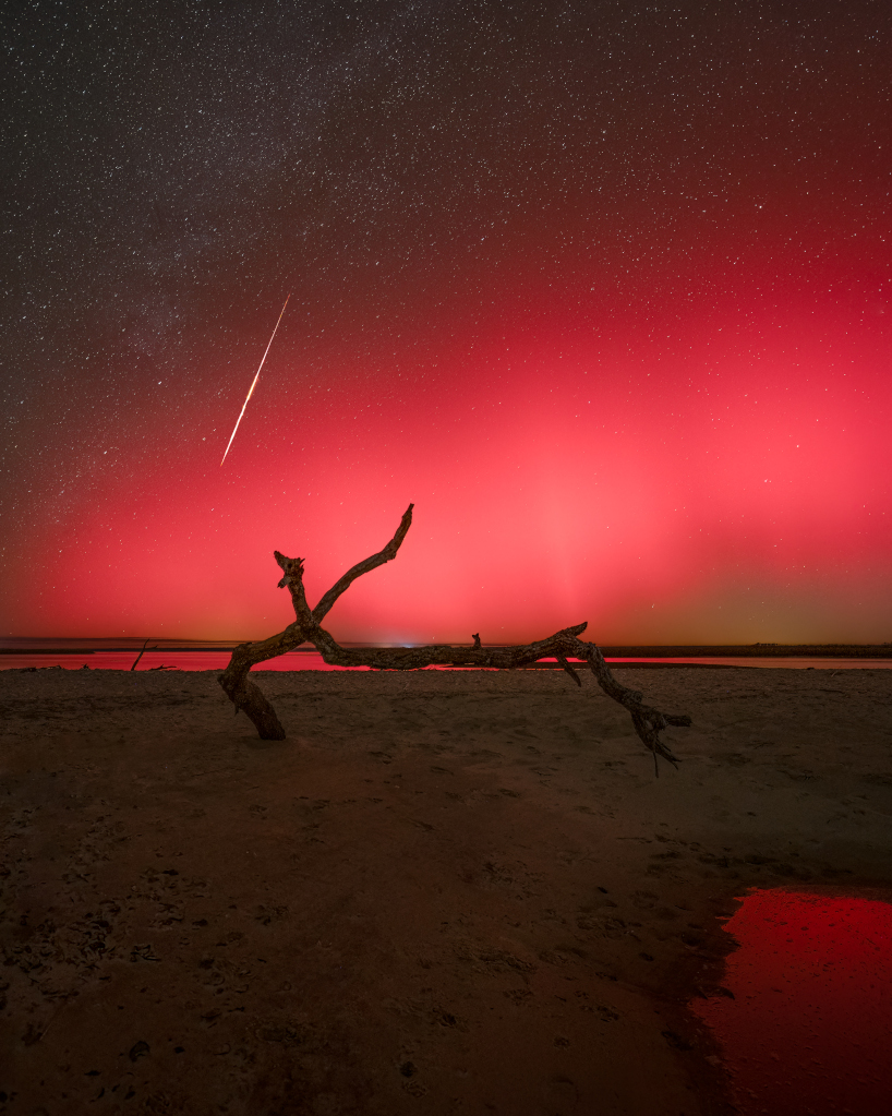 Über dem Strand von Shired Island in Florida schimmert rotes Polarlicht. Dahinter zischt ein Meteor über den Himmel. Das Bild stammt vom 11. November 2025.