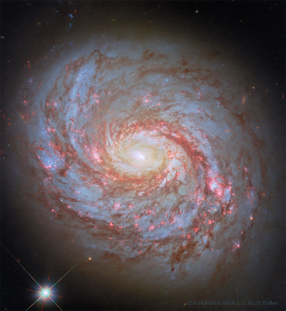 Die aktive Galaxie M77 im Sternbild Walfisch füllt dieses Bild. Markante Staubspuren in den Spiralarmen sind von rötlichen Sternbildungsregionen und blauen Sternhaufen gesäumt. Das Zentrum leuchtet gelblich. Die Erscheinung der Galaxie ist sehr dicht.