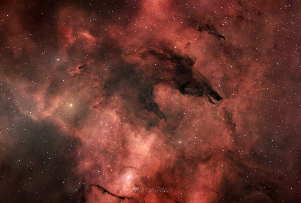 Vor einer rot leuchtenden Wolke zeichnet sich eine dunkle Form ab, die an einen Wolf erinnert. Solche dunklen Wolken sind Orte, an denen neue Sterne entstehen.