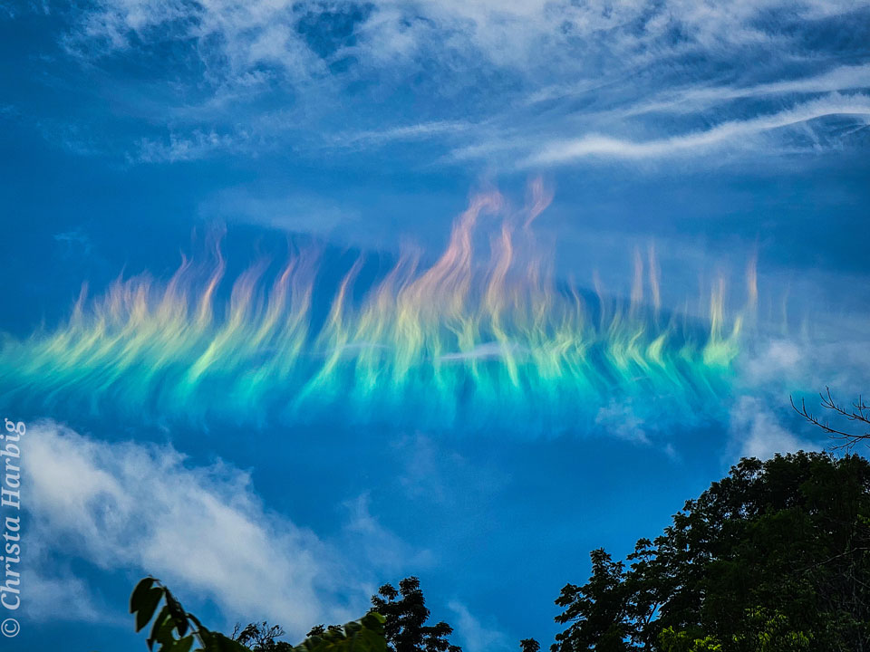 Am blauen Himmel leuchten Faserwolken wie ein Regenbogen. Unten ragen die Kronen von Bäumen ins Bild, weiße Wolken und Kondensstreifen von Flugzeugen ziehen über den Himmel.