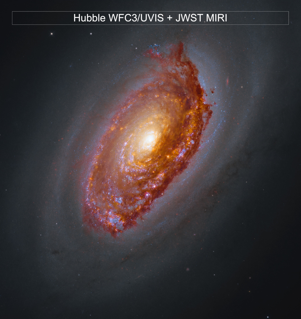 Hubble- und JWST-Aufnahme von M64. Eine massereiche Spiralgalaxie leuchtet mit einem gelben Kern, der von Armen voller orange-braunem Staub und rosa-blauen Gebieten mit Sternbildung umgeben ist. Die Galaxie ist von einem Schleier aus dunklem Staub umgeben. Sie schimmert vor dem schwarzen Weltraum, der hier und da mit wenigen Sternen übersät ist.