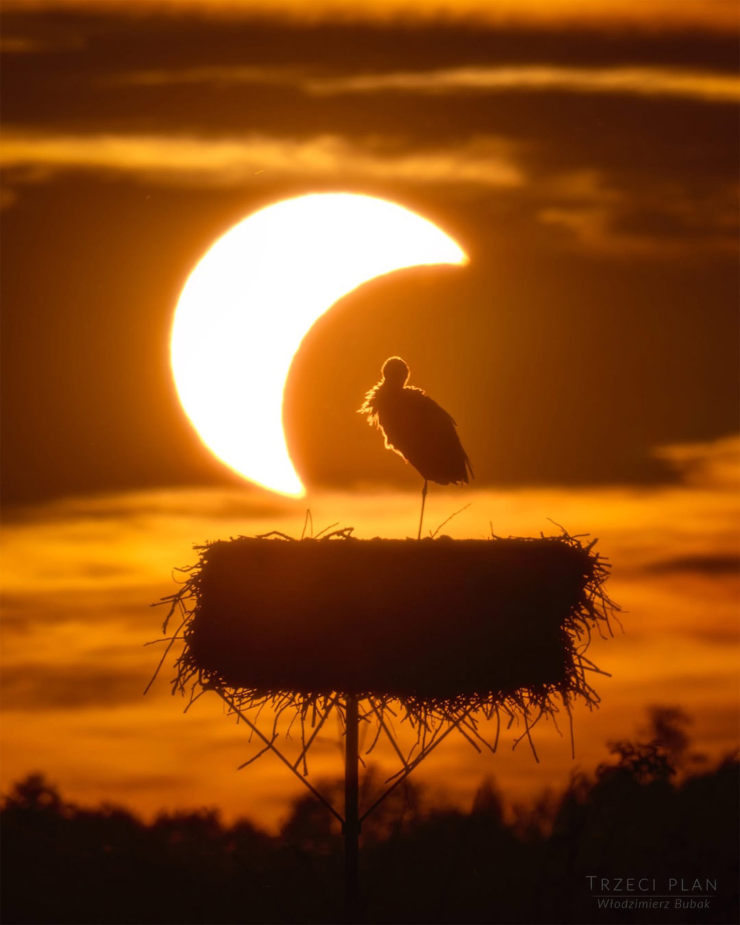 Eine Störchin steht auf einem Bein im Nest, bereit zum Schlaf, während hinter die teilweise verfinsterte Sonne untergeht. Das Bild im Gegenlicht ist stark orange gefärbt.