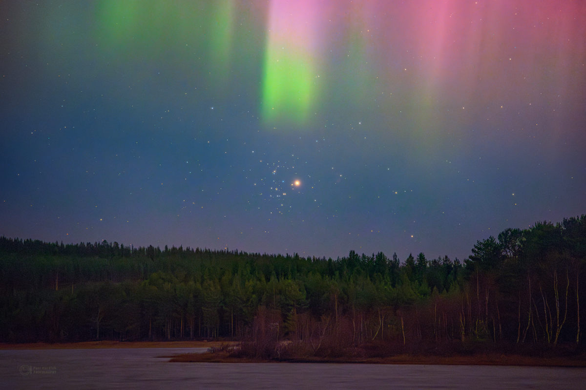 Mars leuchtet hell. Er steht mitten im Sternhaufens Praesepe (M44) am Horizont. Über ihm breitet sich am Himmel ein prächtiges Polarlicht aus, das an einen Schleier aus Licht erinnert. Vorne säumen dunkle Bäume und ein Fluss die Szene.